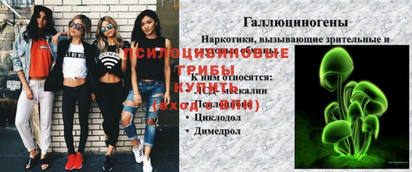ECSTASY Вязники