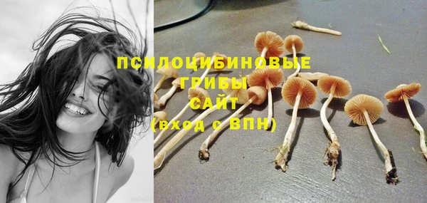 ECSTASY Вязники