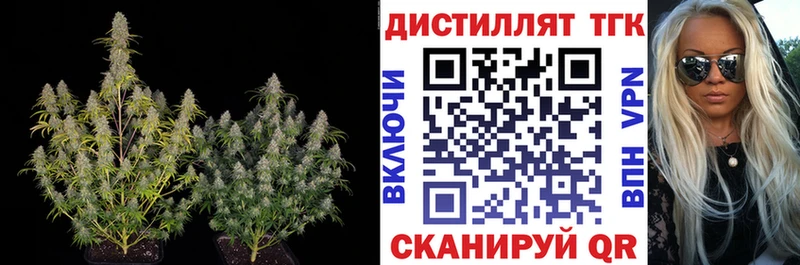 Купить  Лакинск  Дистиллят ТГК концентрат 