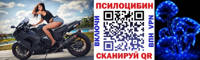 Купить где  Лакинск  Галлюциногенные грибы мицелий 